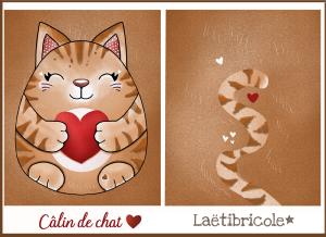 Mini câlin de chat