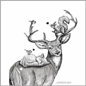 Coupon coussin cerf et compagnie N&B