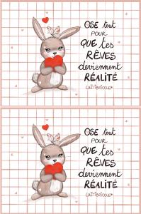Coupon pochette lapin x2 coeur rouge et citation carreaux