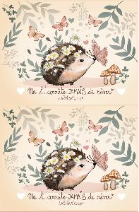 Coupon pochette hérisson avec CITATION